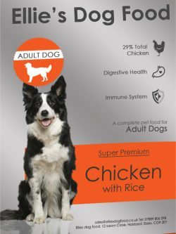 Super Premium Hypoallergenic Adult Dog 29% Chicken with Rice Complete Dry Food