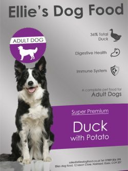 Super Premium Hypoallergenic Adult Dog 36% Duck with Potato Complete Dry Food