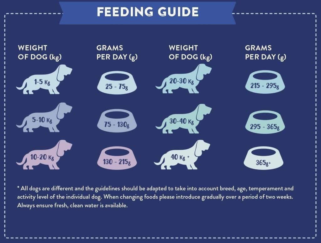 Feeding Guide